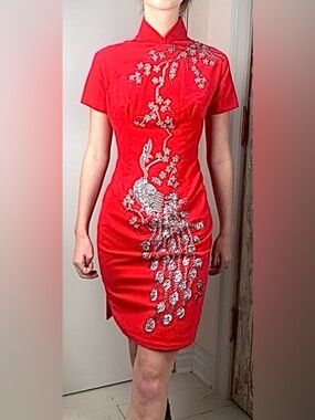 RARE Anna Corinna Vintage Flame Velvet Beaded Peacock Dress